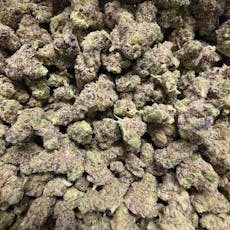 B Bud LPM x Jealousy (Hotbox Farms)