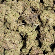 Biscotti (Wicked Flower)