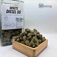 White Diesel OG (S-H)