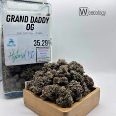 Granddaddy OG (I-H)