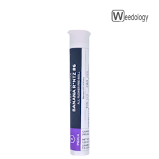 Pruf Single BANANA R*NTZ 1g Pre-Roll