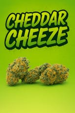 Tier 1 - Cheddar Cheeze -