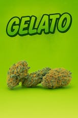 Tier 3 - Gelato -