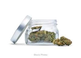 Green Point Gush Mints by SunMed