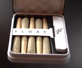 Mac Stomper | 0.5 g | 5 ct