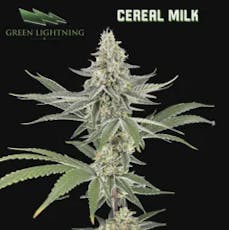 Cereal Milk | 3.5g (Smalls)