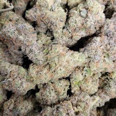 Tropical Z (Gud Gardens)