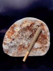 Apricot Scone - Single Joint