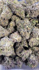 Vice City (Gud Gardens)