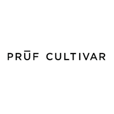 Pruf Cultivar - Dark Rainbow 2.0 - Indoor