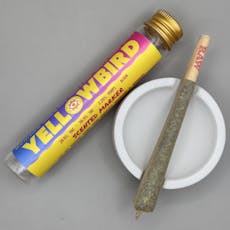 Scented Marker Pre-Roll