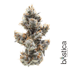 Dante's Inferno | 3.5g | Indica Dom Hybrid