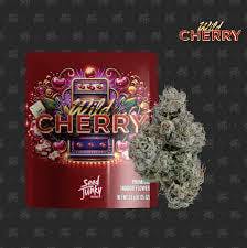 SEED JUNKY - WILD CHERRY PRE PACKAGED FLOWER 3.5G