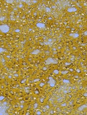 Banana Cake Shatter 1g