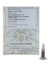 Zpritzer - Feminized Seeds