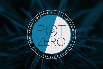 Pot Zero | Amethyst Horizon | Hybrid