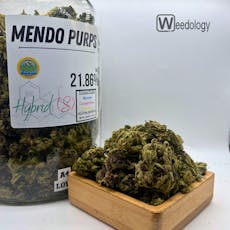 Mendo Purps (S-H)