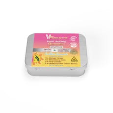 Endless Summers, Fast Acting Gummies 5mg 20pk