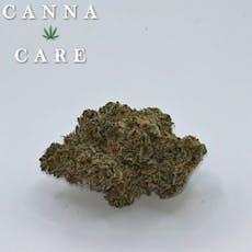 Jealousy Pearl Cannabis Hybrid