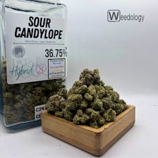 Sour Candylope (S)