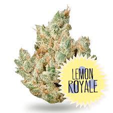 District Cannabis Lemon Royale 28g
