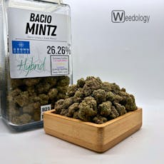 Bacio Mintz (H)