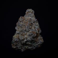 Mimosa