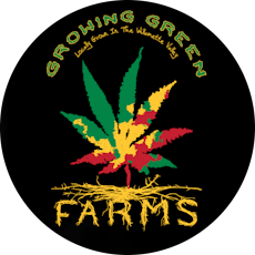 Blue Cheese 1g Joint 10pk (Growing Green Farms)