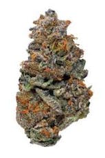 Flower - Super Sherb (H)