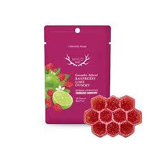 Wyld Ones 1pc Raspberry Lime 1:1 Gummy