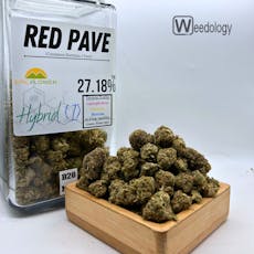 Red Pave (I-H)