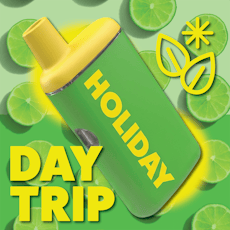 Disposable | Day Trip | 1g | Holiday