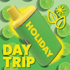 Disposable | Day Trip | 1g | Holiday