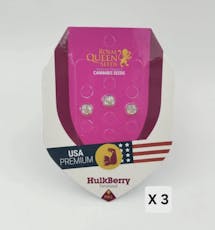Hulkberry Feminized Seeds 3 Pack - Regular