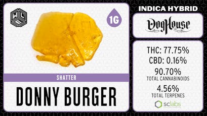 WLE - Donny Burger (I) - Shatter Dab 1g