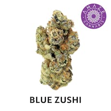 Amaze - Blue Zushi - 3.5g PrePack