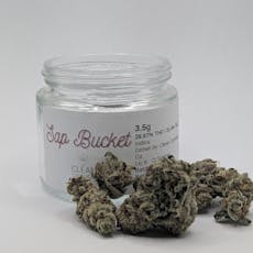 Clean Cannabis Co. | Sap Bucket
