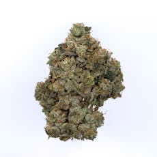 Hazy Hill | Kosher Kush | Flower | 3.5g