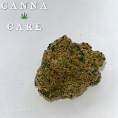 Specimen X DH Systems Indica Hybrid
