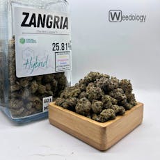 Zangria (H)
