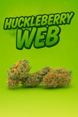 Tier 3 - Huckleberry Web(CBD) -