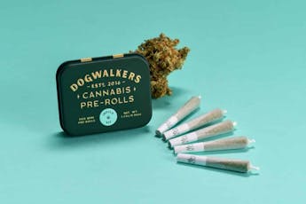 Dogwalkers Josh D's OG Kush (5pk) PRJs