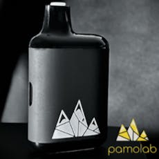 Gas Face - 2g - Live Resin - Disposable Vape