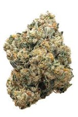 Trophy Wife Flower