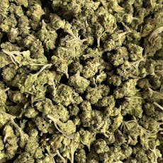 B Bud Durban Dream (Milmar)