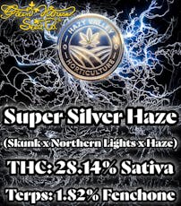 Super Silver Haze (Hazy Valley Horticulture)