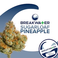 Sugarloaf Pineapple I 3.5g I Breakwater