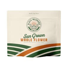 Mint Granita | 28g (Smalls)