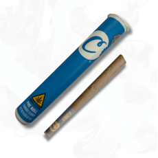 Tequila Sunrise - 1g Preroll