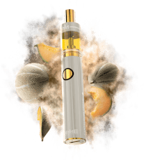 Cantaloupe Dream .9G All In One Vape